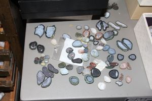 What should I pick????