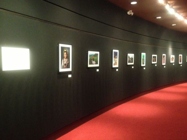 Alison Wright Exhibition