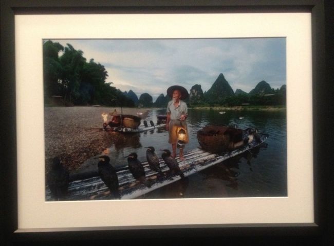 Alison Wright- Fisherman at dawn with coromamts- Li River, Yangshuo, China, 2010
