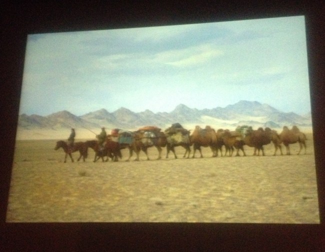 Photo by Alison Wright 