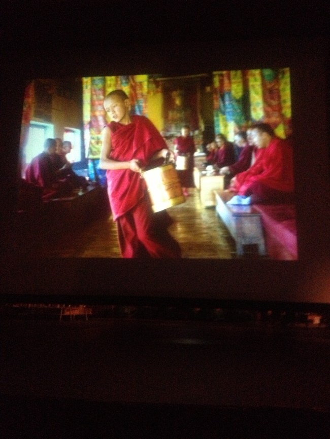 Photo by Alison Wright