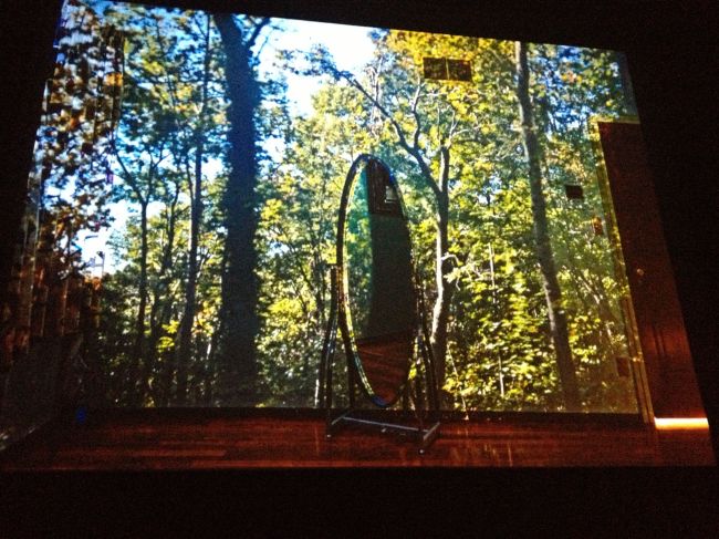 Picturing The South nature montage 