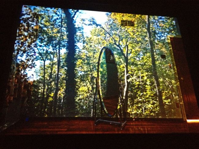 Picturing The South nature montage 