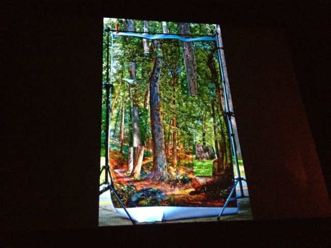 Picturing The South nature montage 