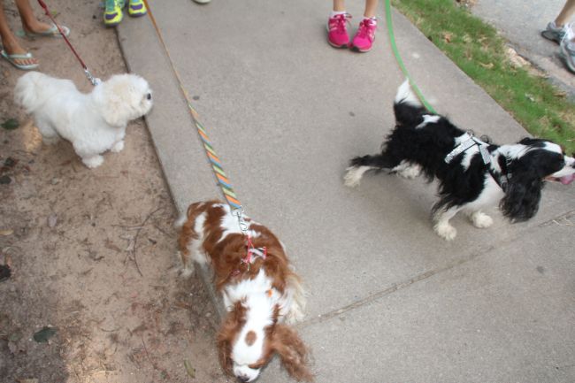 The Kids Opera & Art Posse at the 2nd Annual Ring Cycle Endurance Walk 